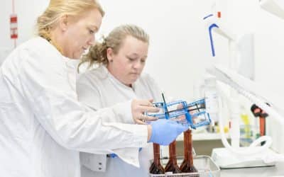 The Danish medical cannabis ecosystem: a model of cooperation