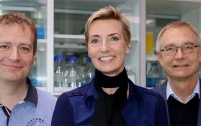 CrossingBio: The Latest SDU Spinout Aiming to Transform Liver Fibrosis Treatment