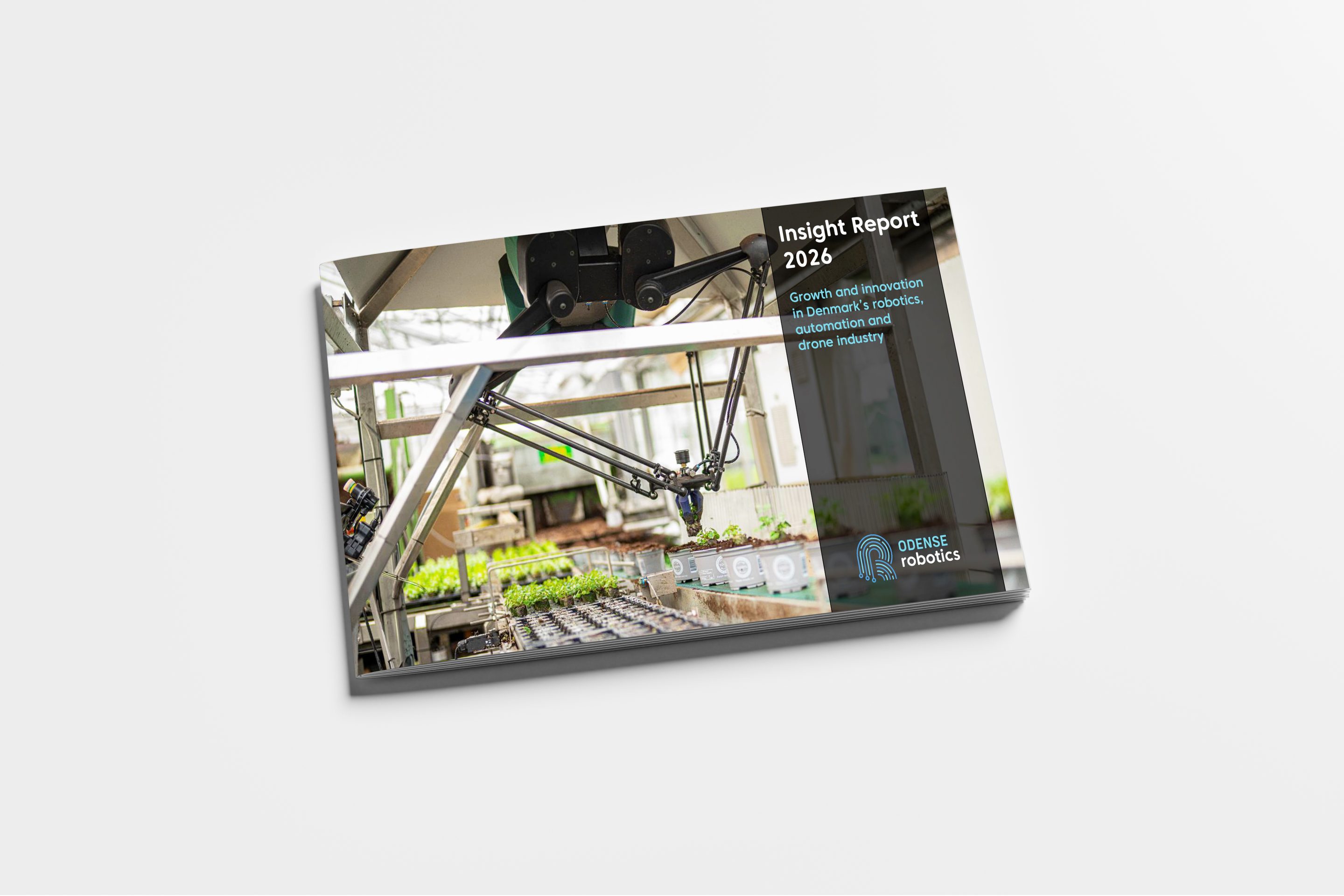 Insight Report Odense Robotics